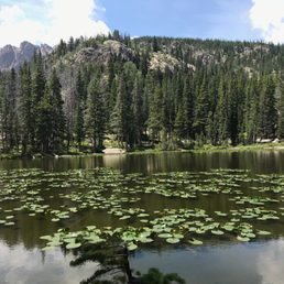 Nymph Lake in July 2018.