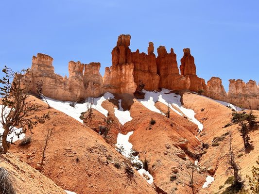 Bryce Amphitheater by null