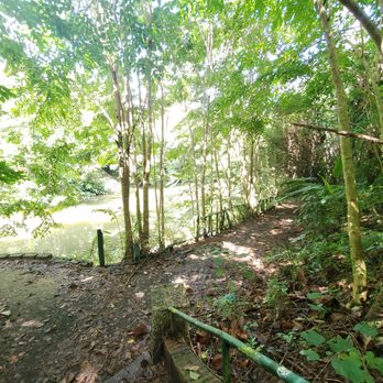 Jardin Botanico - Botanical Gardens Near Me - San Juan, Puerto Rico Jardin Botanico - Botanical Gardens Near Me - San Juan, Puerto Rico