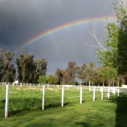 Flying Horse Farms