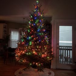 Trees for Tuition - 9 foot Christmas tree with colored lights