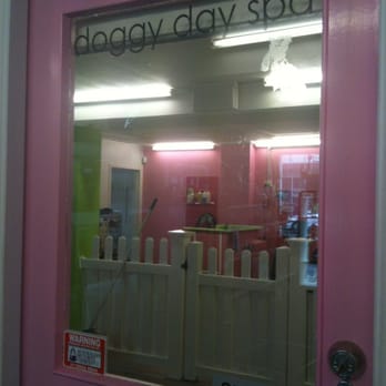 The Pet Pad - Pet Stores Near Me - Newstead, QLD