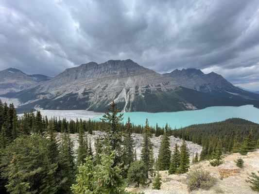Peyto Lake by null