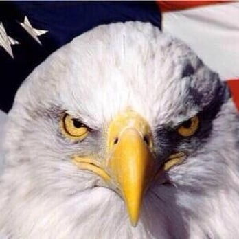 American Contracting - "We are Red, White & Blue Collar" - Roofing Near Me American Contracting - "We are Red, White & Blue Collar" - Roofing Near Me