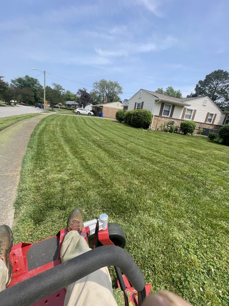 Speller Lawn Services - tree service in Norfolk, VA