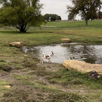 ZBonz Dog Park - Dog Parks Near Me - Fort Worth, Texas ZBonz Dog Park - Dog Parks Near Me - Fort Worth, Texas