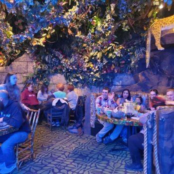 Rainforest Cafe - American Near Me - Gurnee, Illinois Rainforest Cafe - American Near Me - Gurnee, Illinois