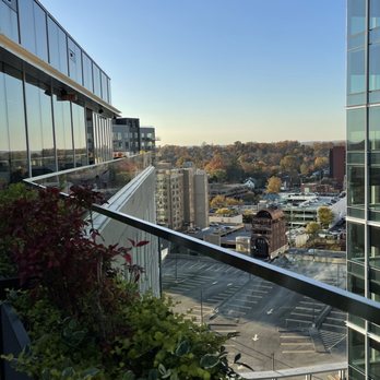 Hip Flask Rooftop Bar - Tapas/Small Plates Near Me - Bethesda, Maryland Hip Flask Rooftop Bar - Tapas/Small Plates Near Me - Bethesda, Maryland