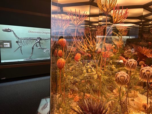 Mountain America Museum of Ancient Life at Thanksgiving Point by null