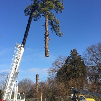 G & H Tree Service - Crane Service - Tree Services Near Me - Cedar Grove, Tennessee G & H Tree Service - Crane Service - Tree Services Near Me - Cedar Grove, Tennessee