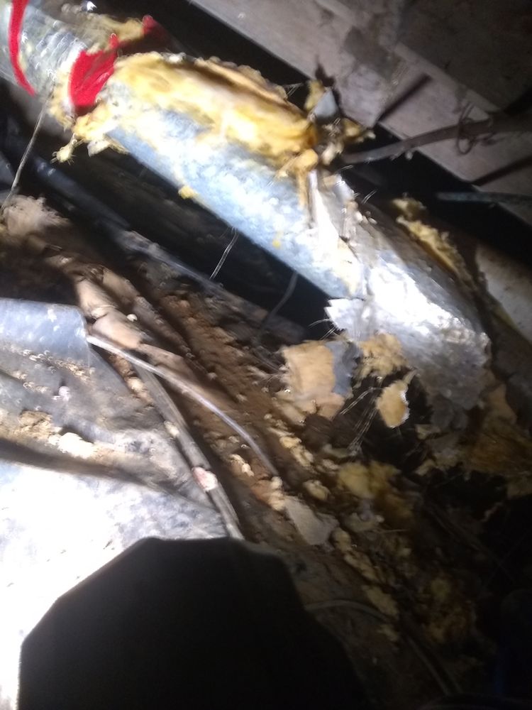 BASEMENT AND CRAWLSPACE SOLUTIONS Updated August 2024 2108 S