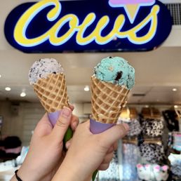 PEI blueberry & Cookie moonster