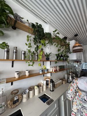 Black Elephant Coffee (Burbank) by null