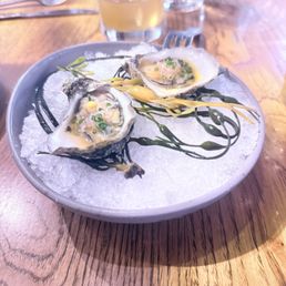 Oysters Oysters