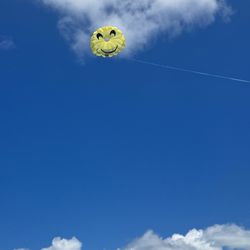 Action Sports Hi Tours - Parasailing