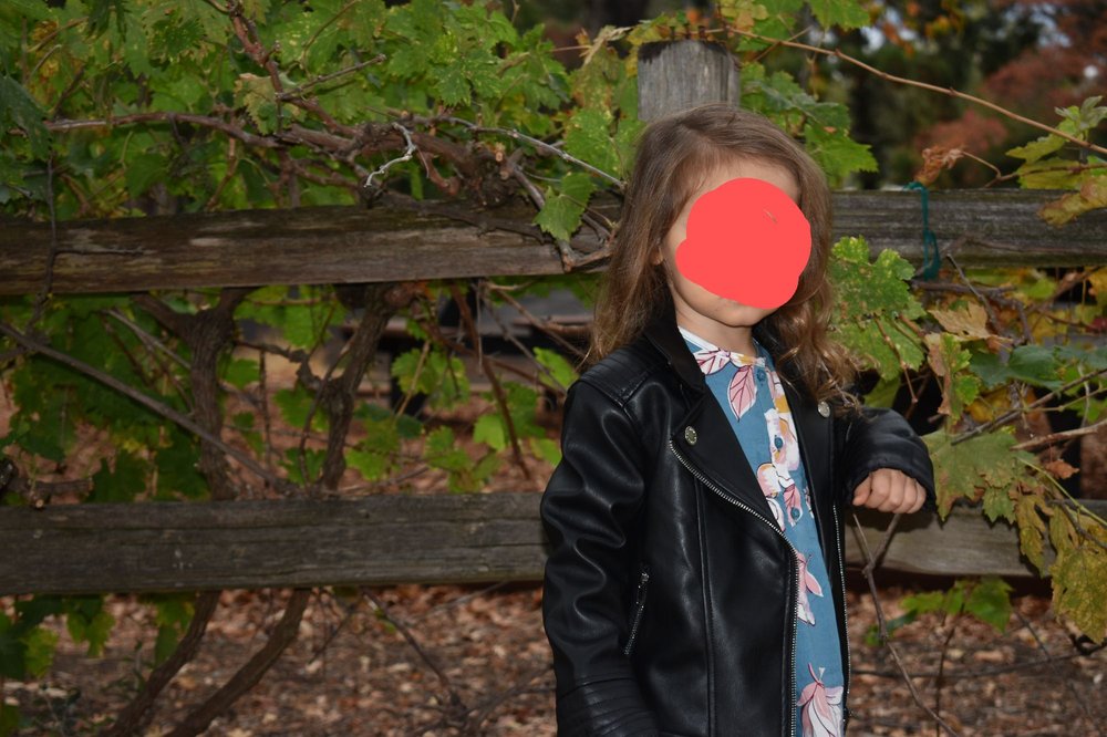 SHADELANDS RANCH PUMPKIN PATCH 79 Photos & 74 Reviews 2660 Ygnacio