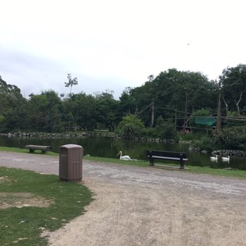 Fota Wildlife Park - Parks Near Me - Fota, Colorado