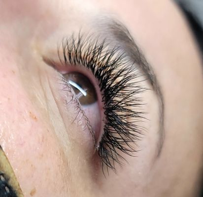 YY Eyelashes - Textured Lash with a Y shape. excellent for clients with gaps. YY Eyelashes - Textured Lash with a Y shape. excellent for clients with gaps.