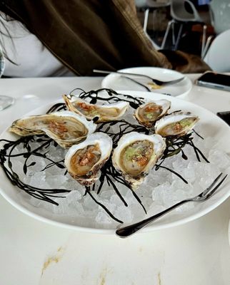 MF Lobster & Ceviche by null