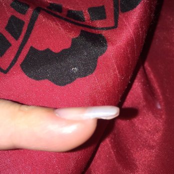 V-Star Nails - Nails are supposed to curve down looking natural! - Nail Salons Near Me - Rosenberg, Texas V-Star Nails - Nails are supposed to curve down looking natural! - Nail Salons Near Me - Rosenberg, Texas