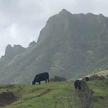 Kualoa Ranch - Tours Near Me - Kaneohe, Hawaii