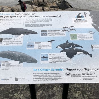 Lighthouse Park - Whale information sign~ - Parks Near Me Lighthouse Park - Whale information sign~ - Parks Near Me