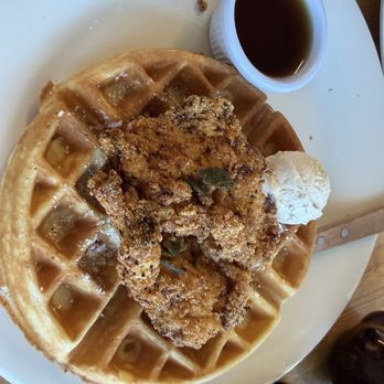 The Morning Fork - CHICKEN & WAFFLE (5/5) - Breakfast & Brunch Near Me - Sacramento, California The Morning Fork - CHICKEN & WAFFLE (5/5) - Breakfast & Brunch Near Me - Sacramento, California