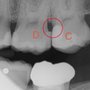 Night & Day Dental