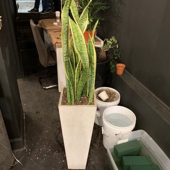 Sofi La Fleur - Florists Near Me - West Hollywood, California