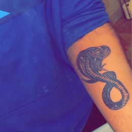 King cobra King cobra