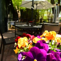 Patio Dining