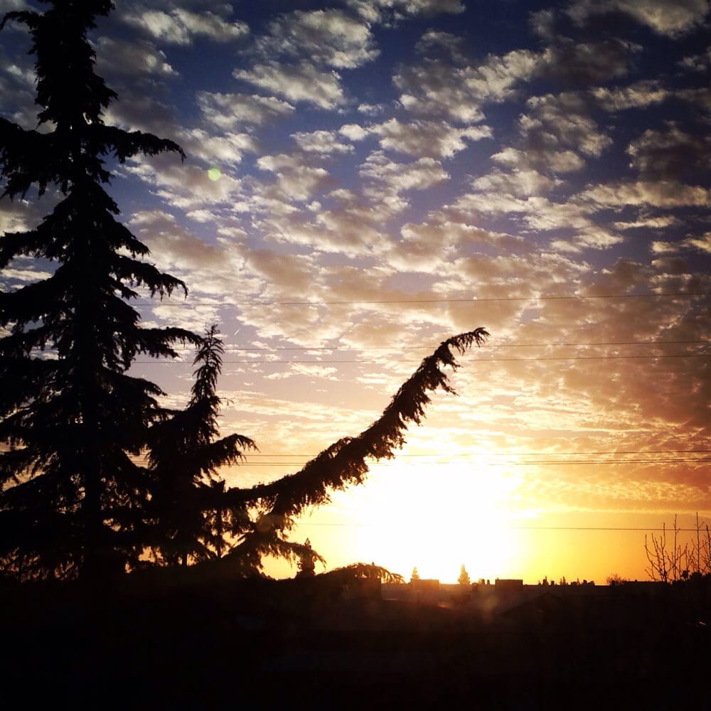 KERN COUNTY CHILD PROTECTIVE SERVICES Updated August 2024 100 E