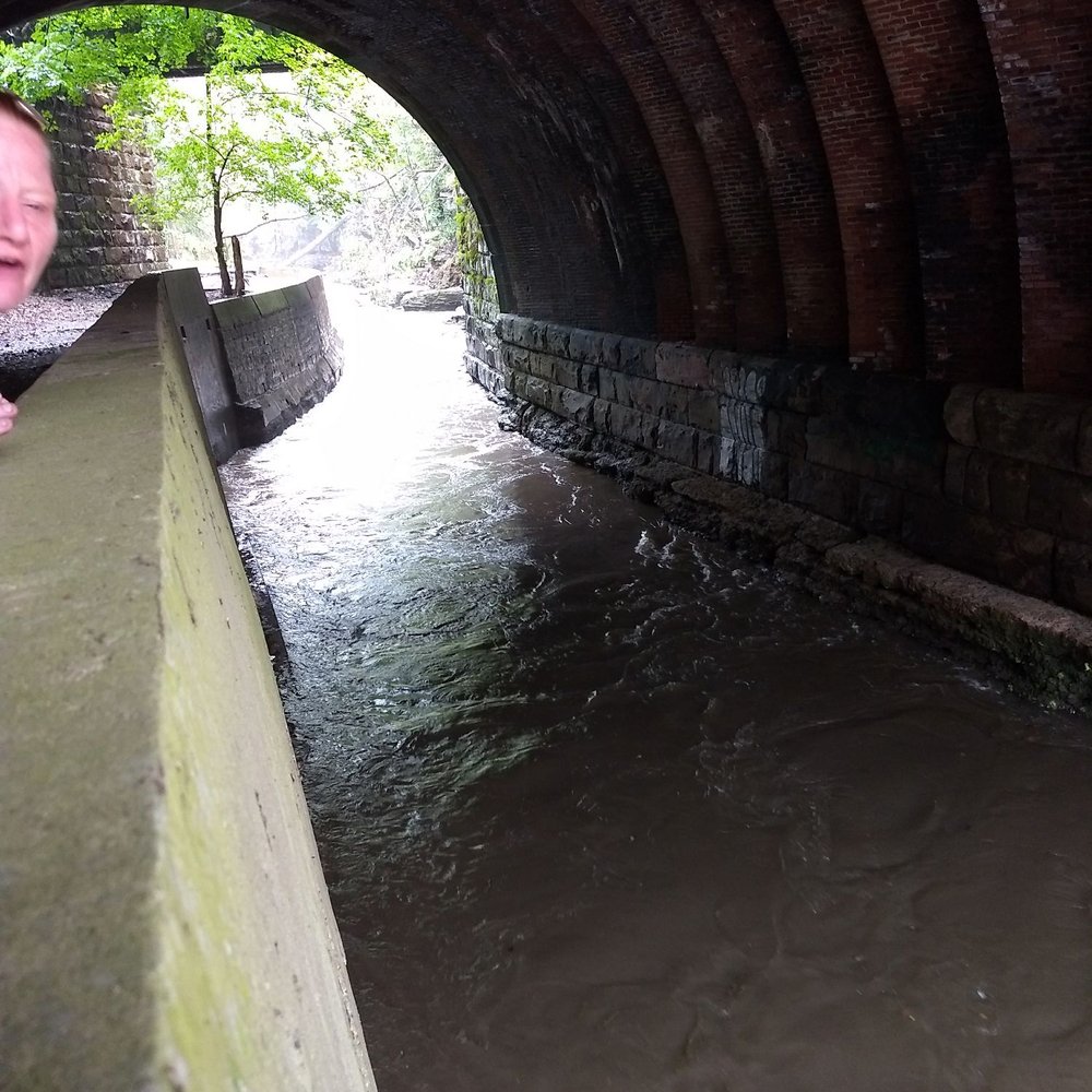 Beechview - Seldom Seen Greenway - The creek was high - Parks Near Me - Pittsburgh, Pennsylvania