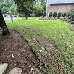 Woerner Landscape - Dying sod