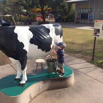 Phoenix Zoo - Learn how to milk a cow - Zoos Near Me - Phoenix, Arizona