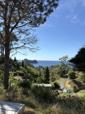 Cathedral Cove Beach by null