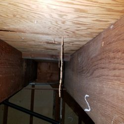 Termite Right 31 Photos 24 Reviews Pest Control 7108