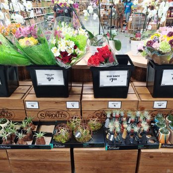 Sprouts Farmers Market - Flowers/Plants - Grocery Near Me - Miramar, Florida