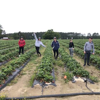 Henley Farms - Farmers Market Near Me - Virginia Beach, Virginia