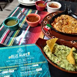 Blue Agave
