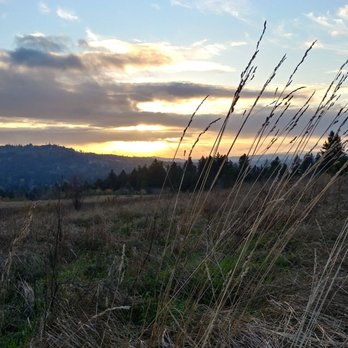 Powell Butte Nature Park - Parks Near Me - Portland, Oregon