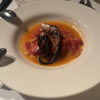 Trattoria Stella - PACIFIC OCTOPUS - Italian Near Me - Traverse City, Michigan Trattoria Stella - PACIFIC OCTOPUS - Italian Near Me - Traverse City, Michigan