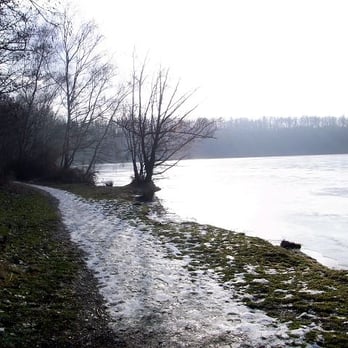 Bleibtreusee - Auf dieser Uferseite ist der Weg schön breit, wenn auch heute ziemlich glatt - Lakes Near Me - Brühl, NW