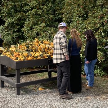 Gordon Skagit Farms - Tons of squash, pumpkin, etc. varieties! - Fruits & Veggies Near Me - Mount Vernon, Washington Gordon Skagit Farms - Tons of squash, pumpkin, etc. varieties! - Fruits & Veggies Near Me - Mount Vernon, Washington