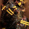 Mainely Lobsters and Seafood gift card