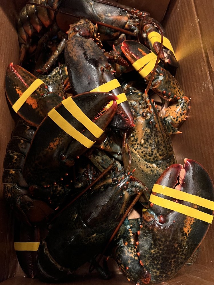 Mainely Lobsters and Seafood