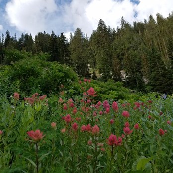 Lake Solitude Trailhead - Hiking Near Me - Salt Lake City, Utah Lake Solitude Trailhead - Hiking Near Me - Salt Lake City, Utah