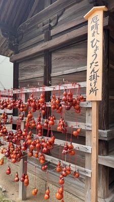 Dazaifu-tenmangu Shrine by null