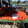 Santa Monica Farmers Markets - Saturday Pico gift card