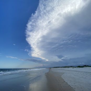 Huntington Beach State Park - Parks Near Me - Murrells Inlet, South Carolina